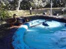 IMG_20131006_163549