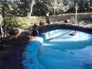 IMG_20131006_163558