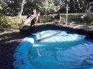 IMG_20131006_163608