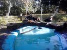 IMG_20131006_163615