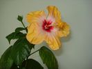DSC09779