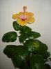 DSC09802
