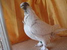 DSC03117