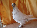 DSC03119