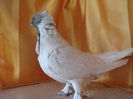 DSC03125