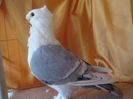 DSC03130