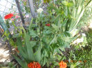 DSCN3027