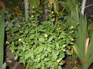 DSCN3345