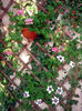 DSC04451
