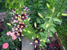 DSC04464