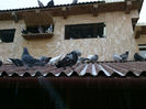 2013-10-03-1673