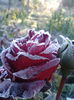 2013-10-05 09.06.40