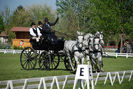 Fabiansebestyen Dressage 2012