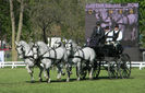 Fabian Dressage