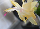 DSCN7598