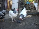 PICT0240