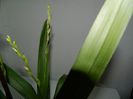 DSCN3667