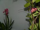 DSCN3672
