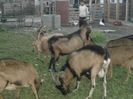 DSC01430