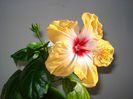 DSC09781