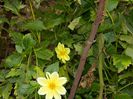 DSCN3695