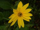 DSCN3713