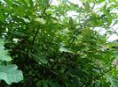 DSCN3763