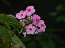 DSCN3798