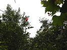 DSCN3811