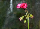 DSCN3827