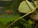 DSCN3830