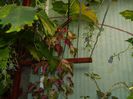 DSCN3842