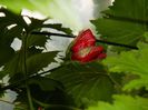 DSCN3848