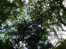 DSCN3073