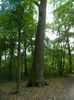 DSCN3078