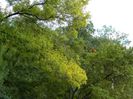 DSCN3085