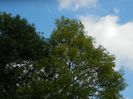 DSCN3086