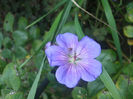 DSCF2955
