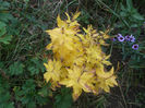 DSCF2958