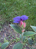 DSC00565