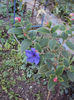 DSC00567