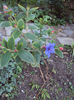 DSC00568