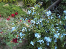 DSC00476