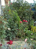 DSC00479