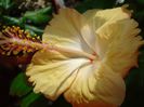 DSC09909