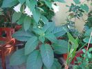DSC03758