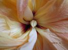 IMG_9744