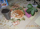 noile plantute care se alatura