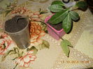 stephanotis si pasiflora