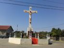 Picture 070